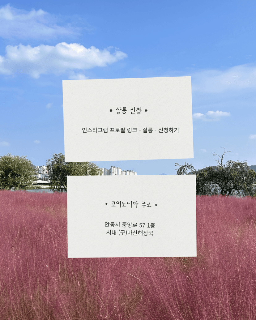 신청 방법